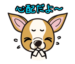 iinu - Smooth Coat Chihuahua sticker #4300134