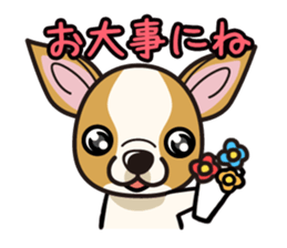 iinu  - Smooth Coat Chihuahua sticker #4300139