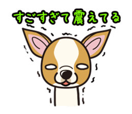 iinu  - Smooth Coat Chihuahua sticker #4300141