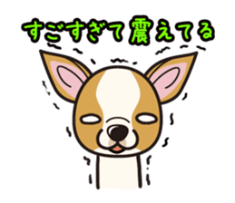 iinu - Smooth Coat Chihuahua sticker #4300141