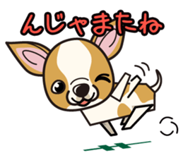 iinu  - Smooth Coat Chihuahua sticker #4300143