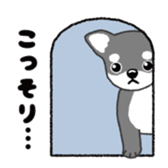 doggery sticker #4302994