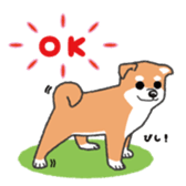 doggery sticker #4303008