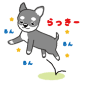 doggery sticker #4303009