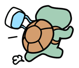 The little turtle, sometime with rabbit sticker #4304001