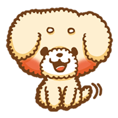 Short eyebrows poodle "pu-maro"