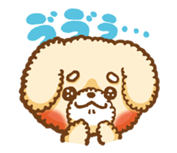 Short eyebrows poodle "pu-maro" sticker #4309363