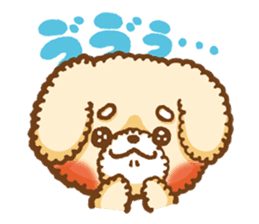 Short eyebrows poodle "pu-maro" sticker #4309363
