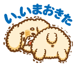Short eyebrows poodle "pu-maro" sticker #4309378