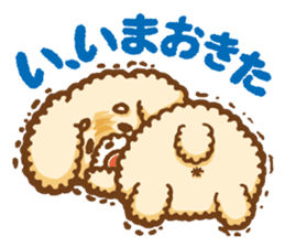 Short eyebrows poodle "pu-maro" sticker #4309378