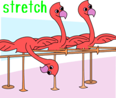 mail with animals sticker #4315100