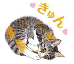 Fine kitten sticker #4315866
