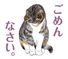 Fine kitten sticker #4315868
