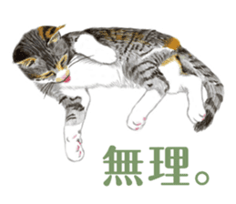 Fine kitten sticker #4315870