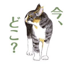 Fine kitten sticker #4315874
