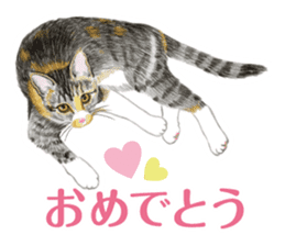 Fine kitten sticker #4315876