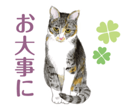 Fine kitten sticker #4315877