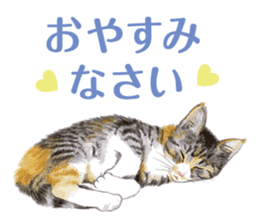 Fine kitten sticker #4315878