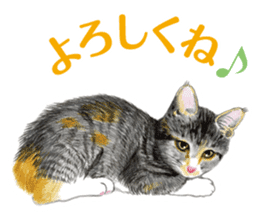 Fine kitten sticker #4315879