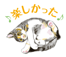 Fine kitten sticker #4315880