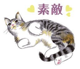 Fine kitten sticker #4315883