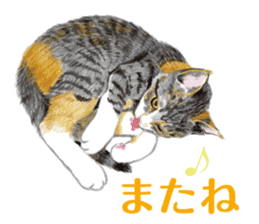 Fine kitten sticker #4315885