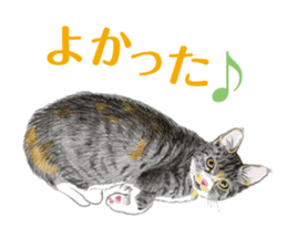 Fine kitten sticker #4315888