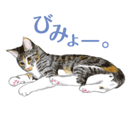 Fine kitten sticker #4315895