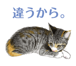 Fine kitten sticker #4315896