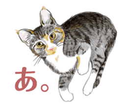 Fine kitten sticker #4315898