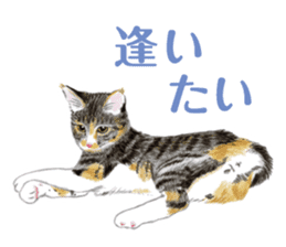 Fine kitten sticker #4315900