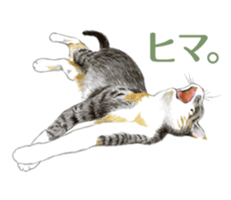 Fine kitten sticker #4315901