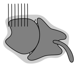 Gris the cat - English sticker #4318980