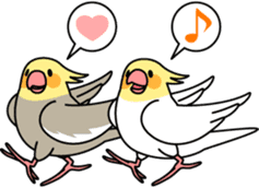 Cockatiel "Okameinko-chan" sticker #4320310