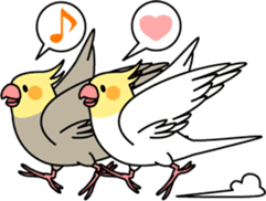 Cockatiel "Okameinko-chan" sticker #4320311