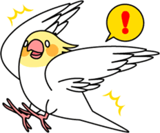 Cockatiel "Okameinko-chan" sticker #4320315