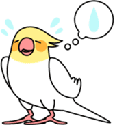 Cockatiel "Okameinko-chan" sticker #4320316
