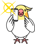 Cockatiel "Okameinko-chan" sticker #4320320