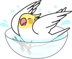 Cockatiel "Okameinko-chan" sticker #4320322
