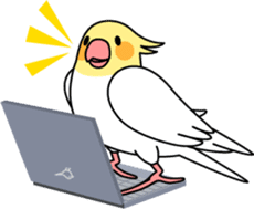 Cockatiel "Okameinko-chan" sticker #4320323