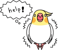 Cockatiel "Okameinko-chan" sticker #4320326