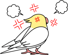 Cockatiel "Okameinko-chan" sticker #4320330