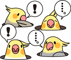 Cockatiel "Okameinko-chan" sticker #4320336
