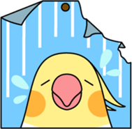 Cockatiel "Okameinko-chan" sticker #4320341