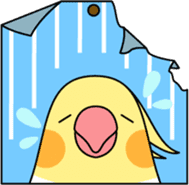 Cockatiel "Okameinko-chan" sticker #4320341