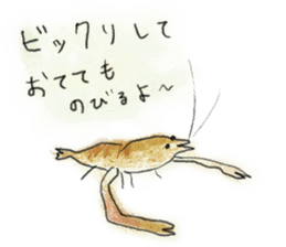 The Shrimp2 sticker #4320551