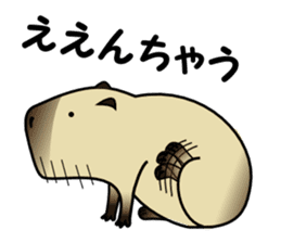 Capybara brothers in Parutom-town sticker #4321584