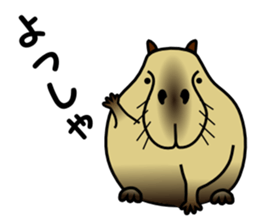 Capybara brothers in Parutom-town sticker #4321587