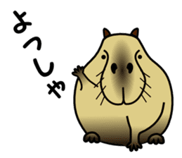 Capybara brothers in Parutom-town sticker #4321587