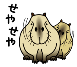 Capybara brothers in Parutom-town sticker #4321588